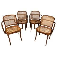 Set of 4 Prague Model 811 Chairs by Josef Frank for Stendig, Poland, c. 1960s