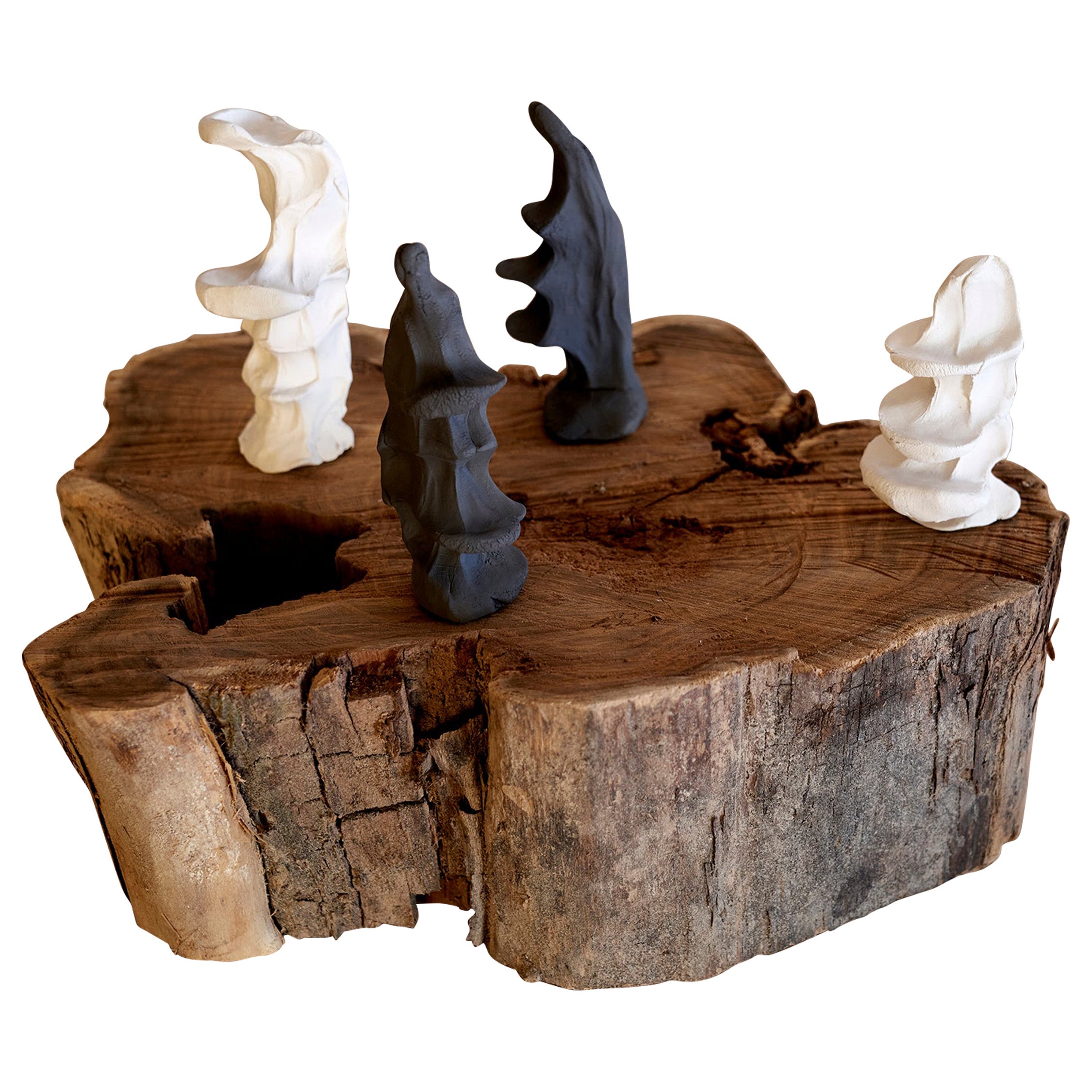 Set di 4 sculture primitive di Jean-Baptiste Van Den Heede