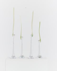 Juego de 4 raros jarrones de cristal soplado a mano Soliflore ikebana de Shiro Kuramata