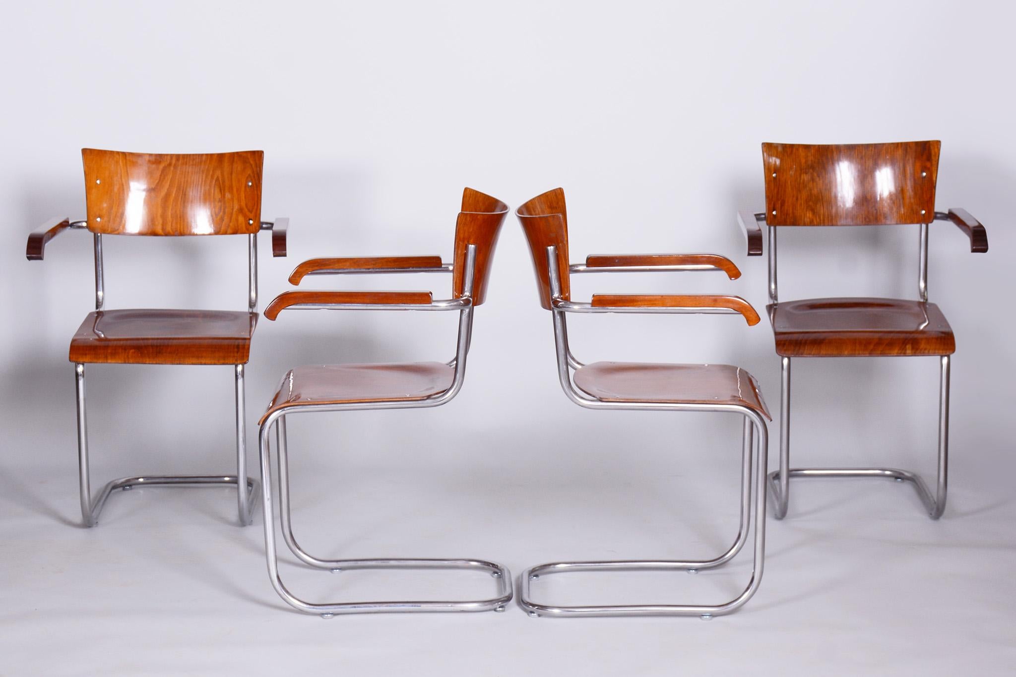 Ensemble de 4 fauteuils Bauhaus en hêtre restaurés conçus par Mart Stam, années 1930, Tchèque en vente 4