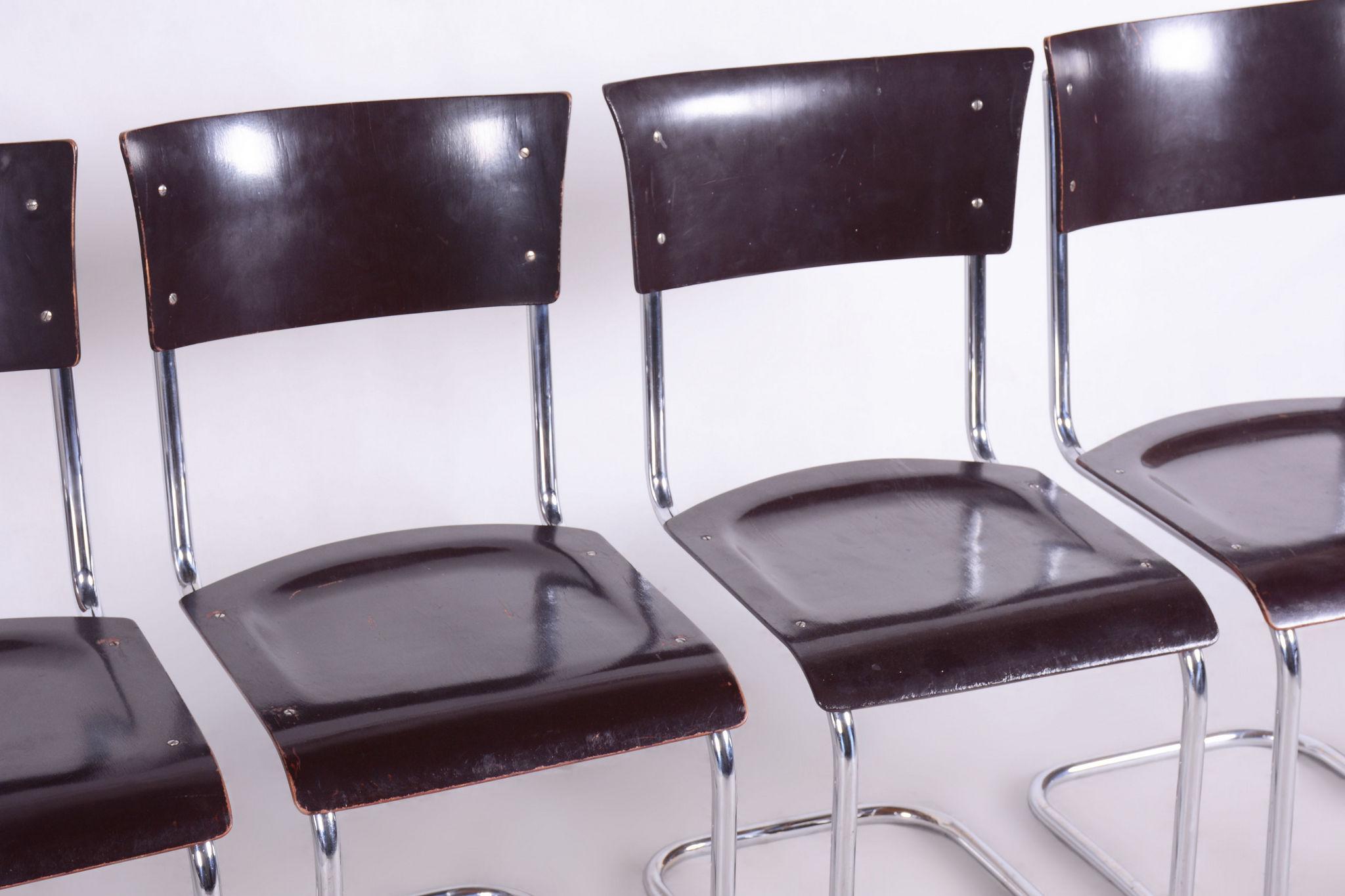 Ensemble de 4 chaises Bauhaus restaurées, Mart Stam, Robert Slezak, Tchèque, années 1930 en vente 5