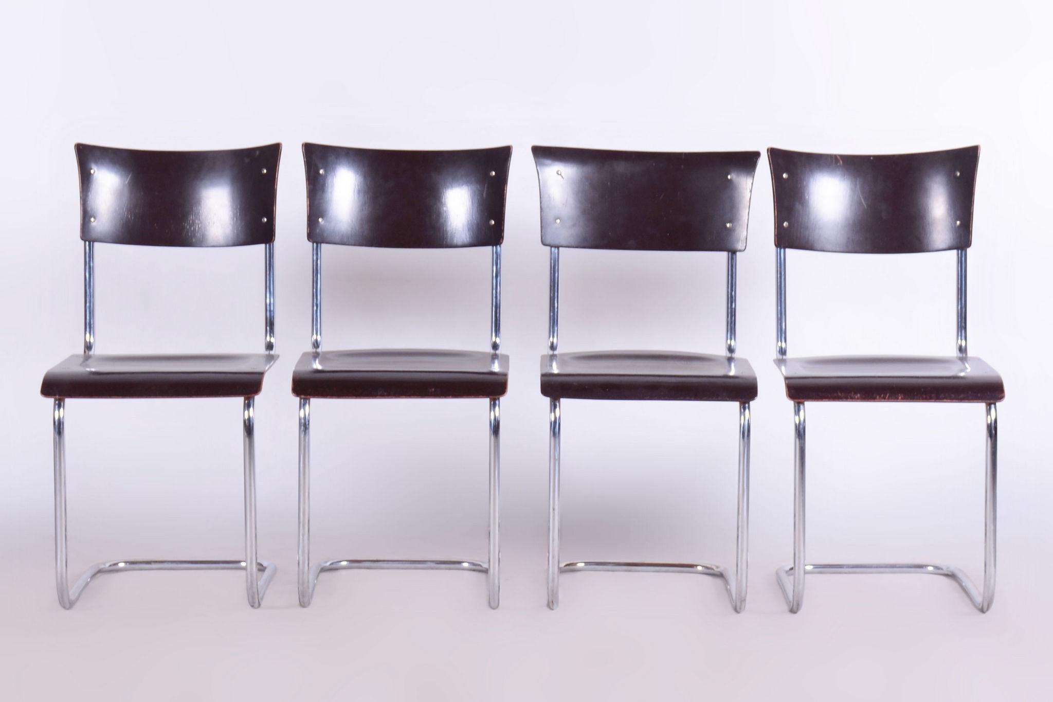 Ensemble de 4 chaises Bauhaus restaurées, Mart Stam, Robert Slezak, Tchèque, années 1930 en vente 6