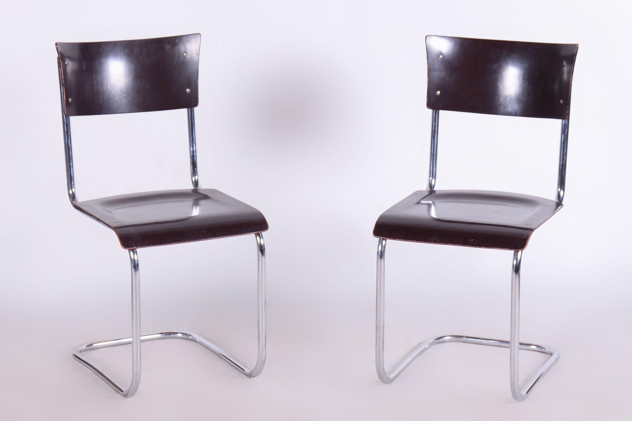Ensemble de 4 chaises Bauhaus restaurées, Mart Stam, Robert Slezak, Tchèque, années 1930 en vente 2