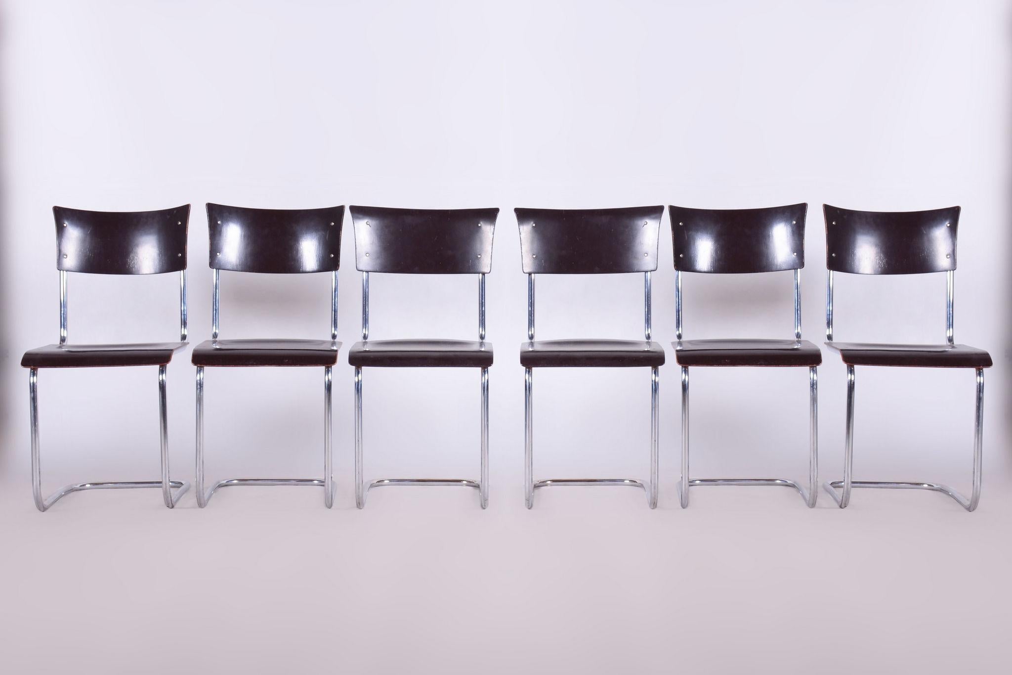 Ensemble de 4 chaises Bauhaus restaurées, Mart Stam, Robert Slezak, Tchèque, années 1930 en vente 3