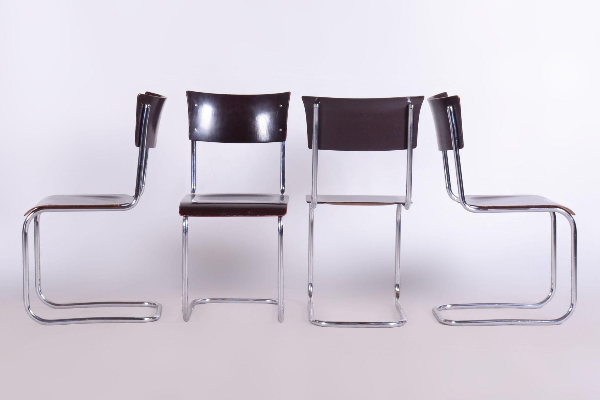 Ensemble de 4 chaises Bauhaus restaurées, Mart Stam, Robert Slezak, Tchèque, années 1930 en vente 4