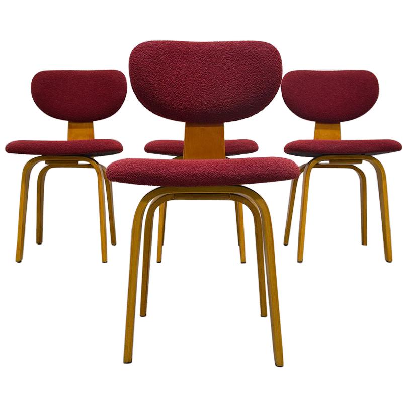Set of 4 SB02 Combex Series Chairs by Cees Braakman for Pastoe, 1950s