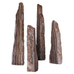 Set Of 4 Secta Candle Holders by Andres Monnier