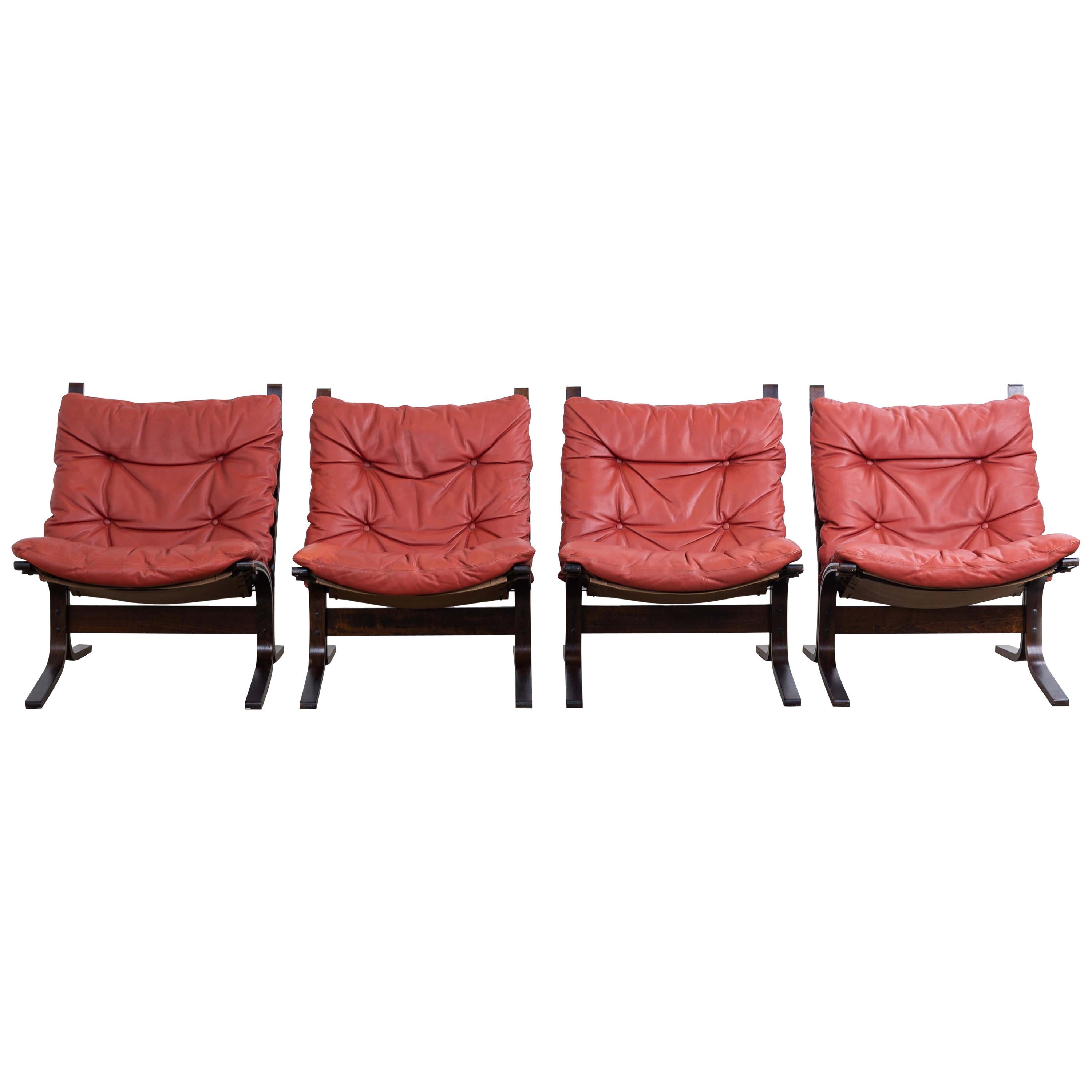 Set of 4 Siesta Chairs by Ingmar Relling for Westnofa, 1960s