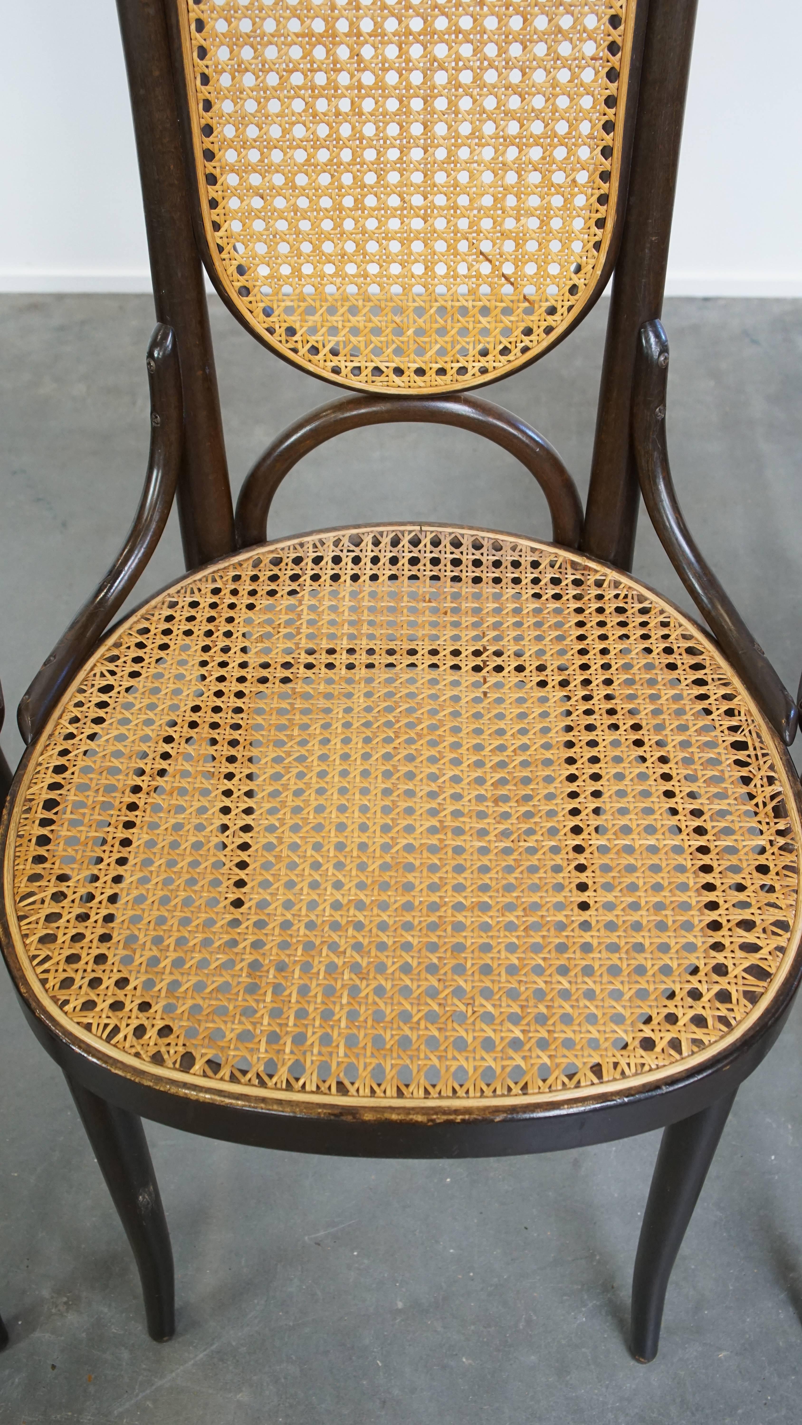 Set of 4 Tall Vintage Bentwood 