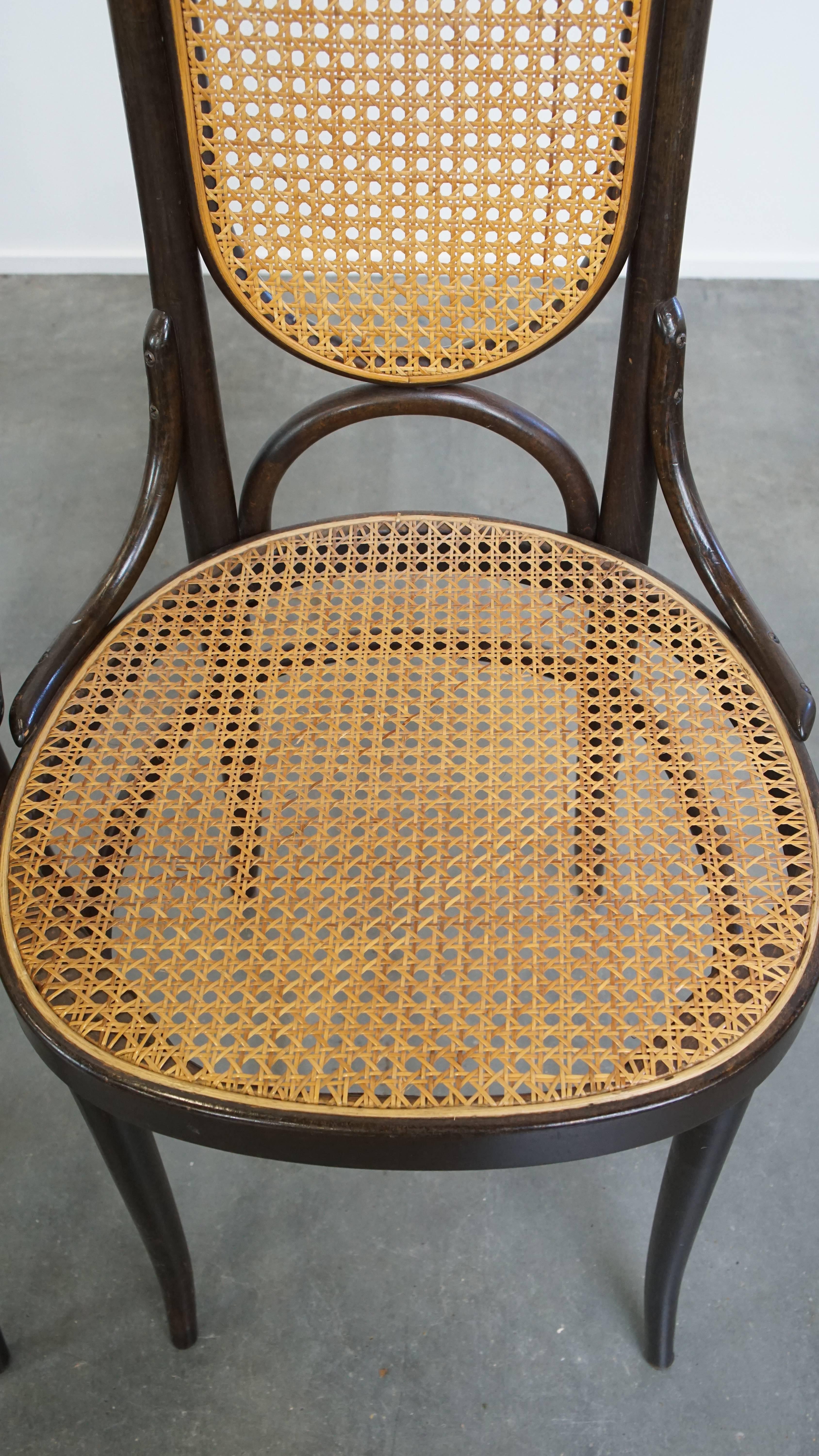 Set of 4 Tall Vintage Bentwood 