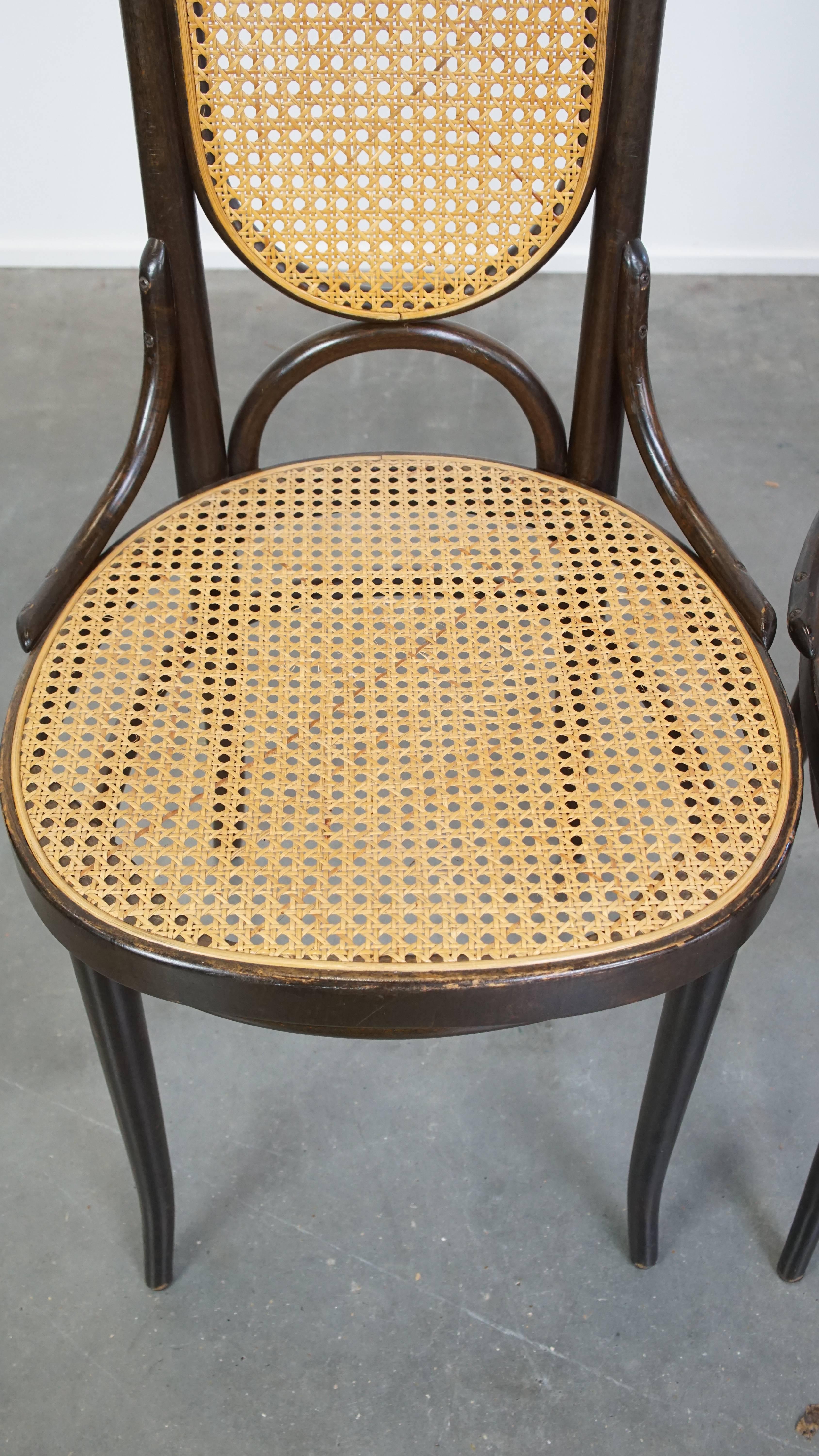 Set of 4 Tall Vintage Bentwood 