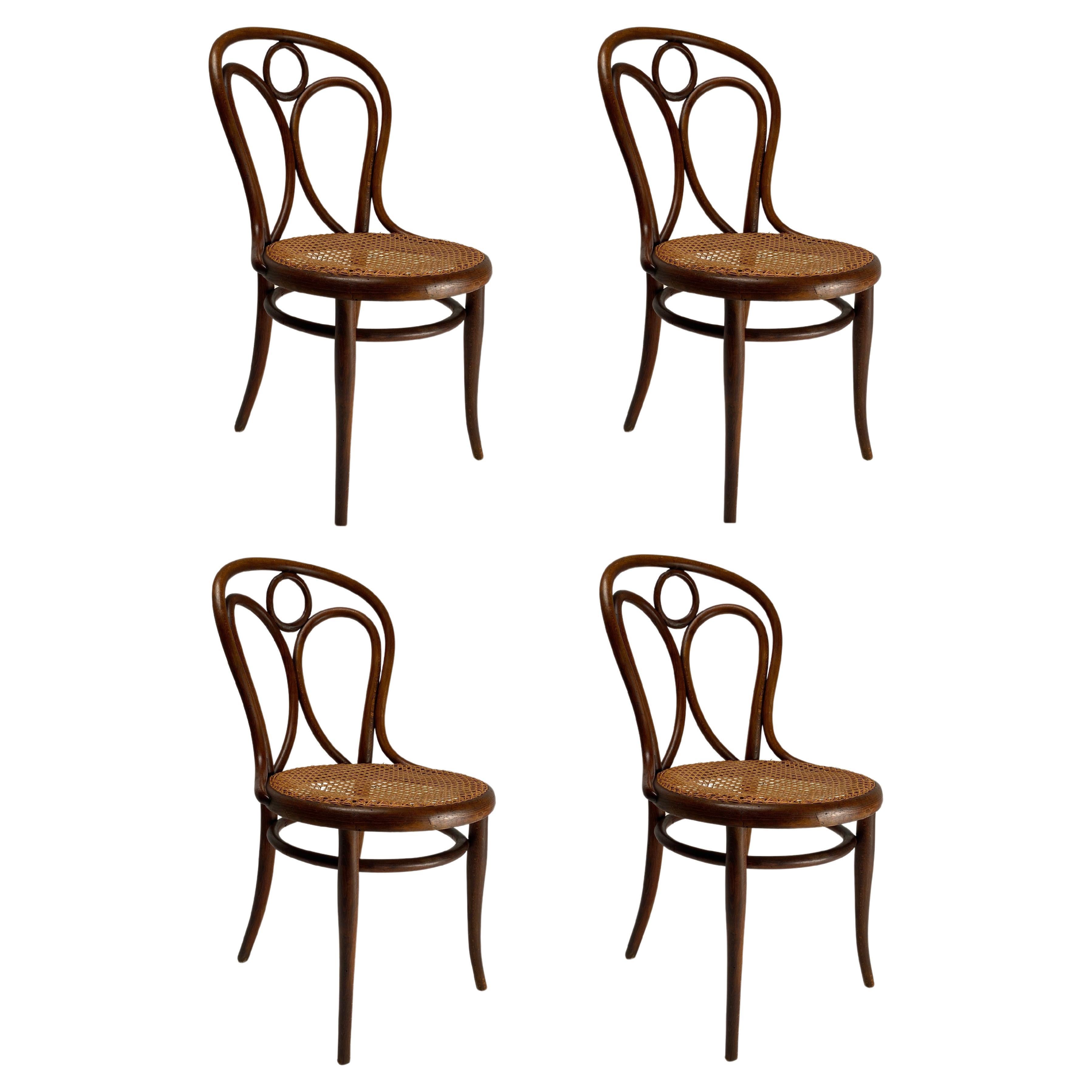 Ensemble de 4 chaises en hêtre courbé Thonet, Autriche, début des années 1900 en vente