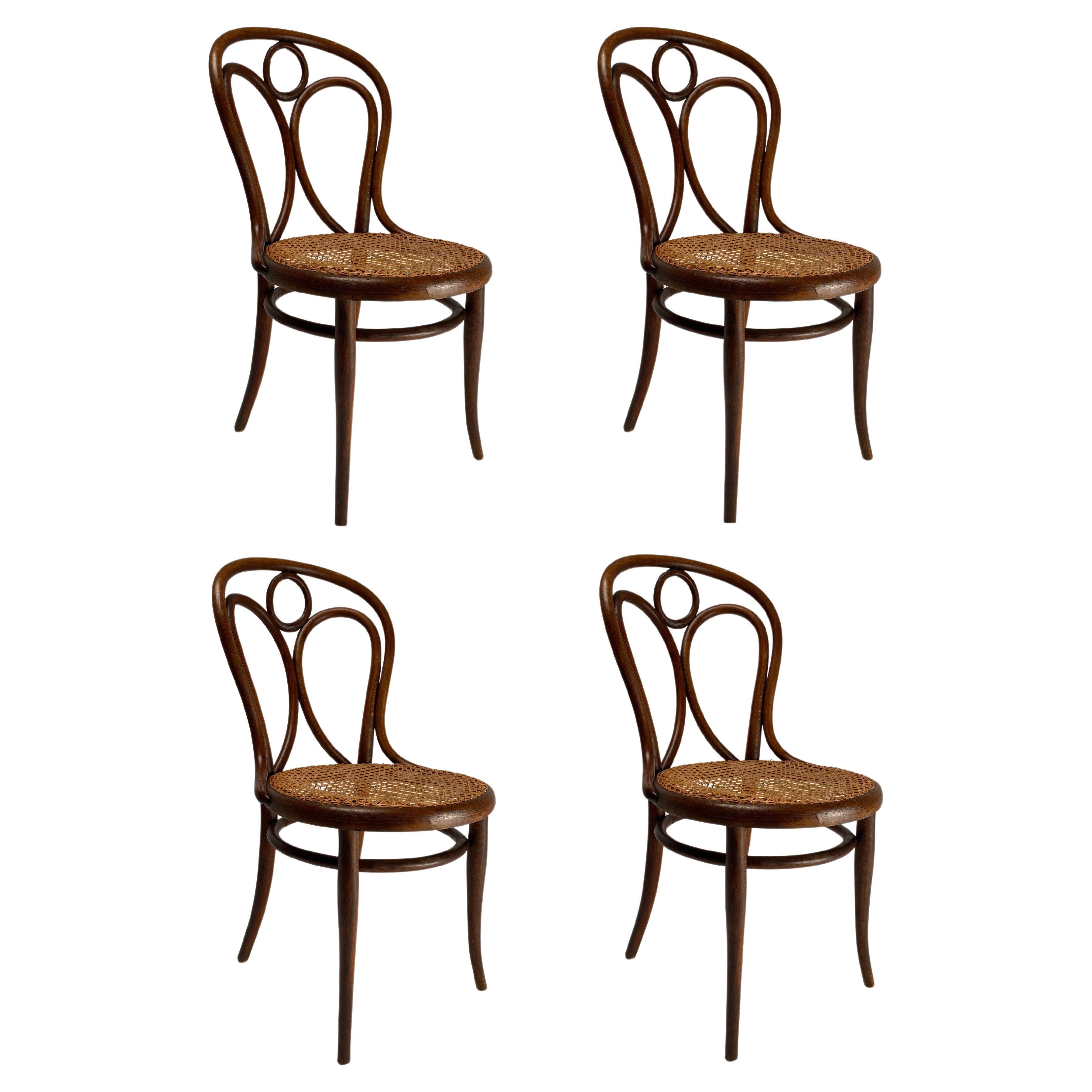 Satz von 4 Thonet Stühlen aus gebogener Buche, Österreich, Anfang 1900 im Angebot