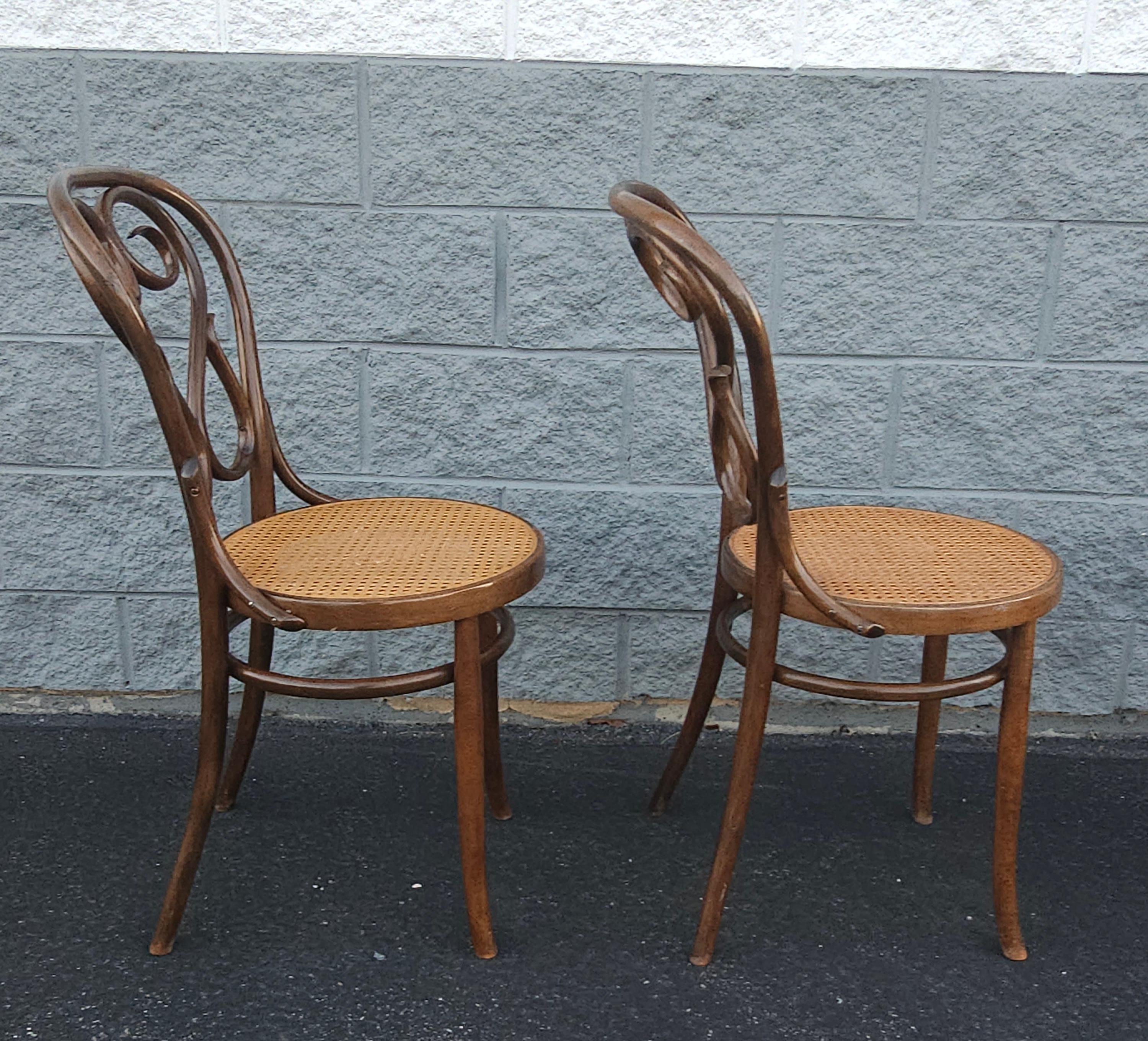 Lot de 4 Thonet n° 4  Chaises en bois de café Daum de Salvatore Leone, vers les années 1960 en vente 2
