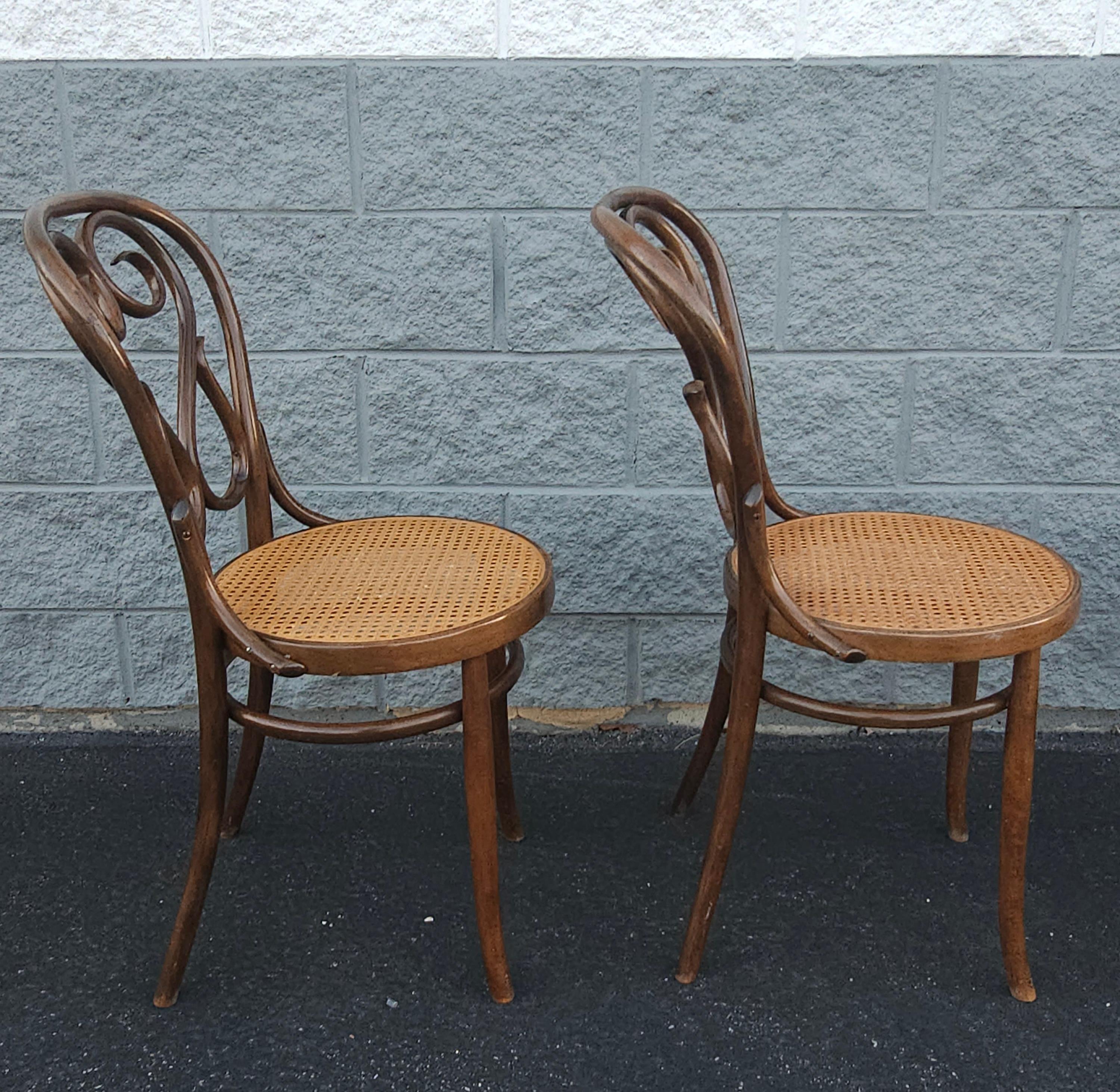 Lot de 4 Thonet n° 4  Chaises en bois de café Daum de Salvatore Leone, vers les années 1960 en vente 3