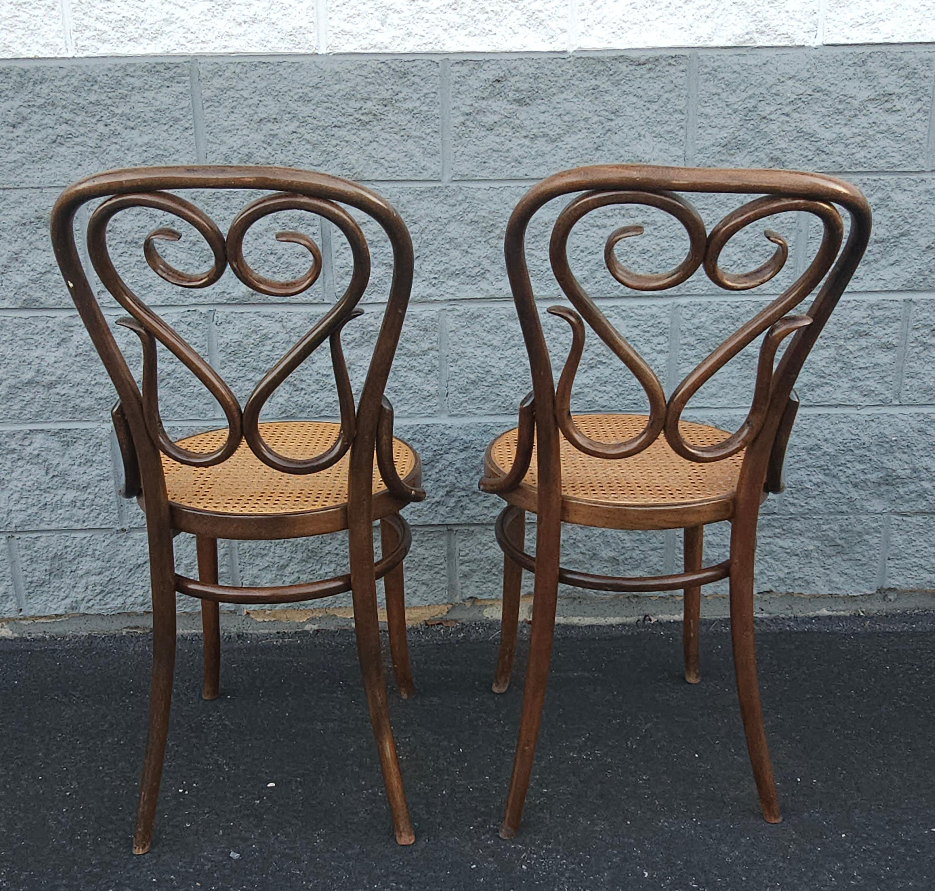Lot de 4 Thonet n° 4  Chaises en bois de café Daum de Salvatore Leone, vers les années 1960 en vente 4