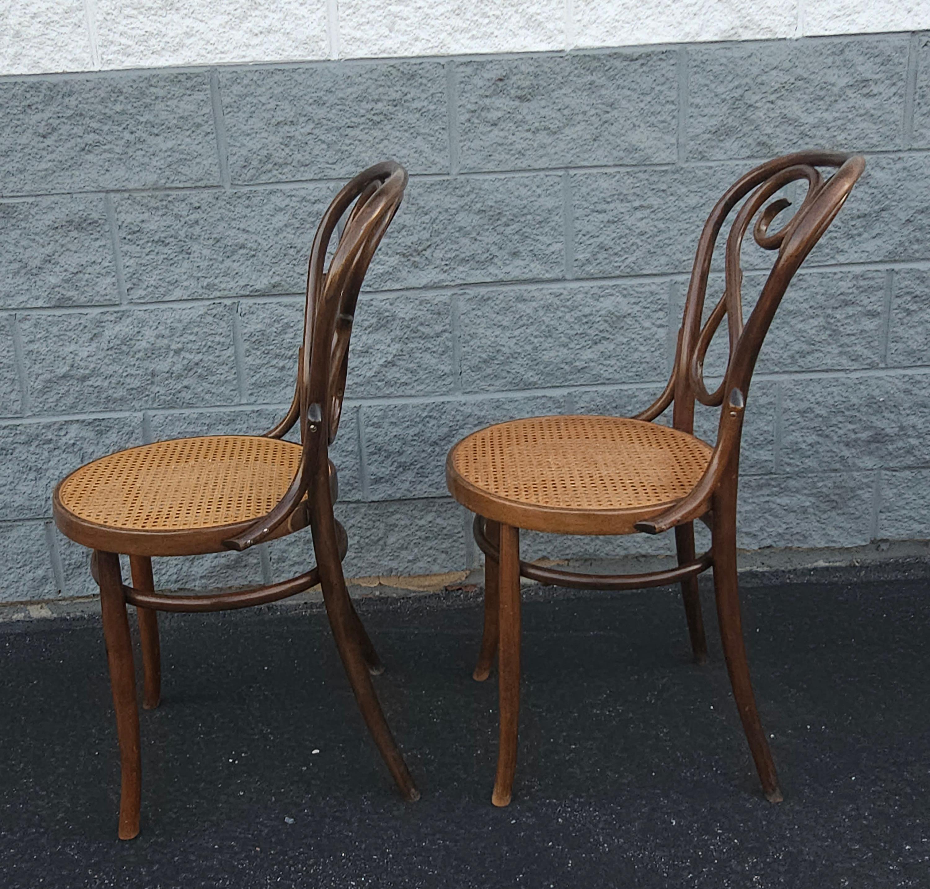 Lot de 4 Thonet n° 4  Chaises en bois de café Daum de Salvatore Leone, vers les années 1960 en vente 5