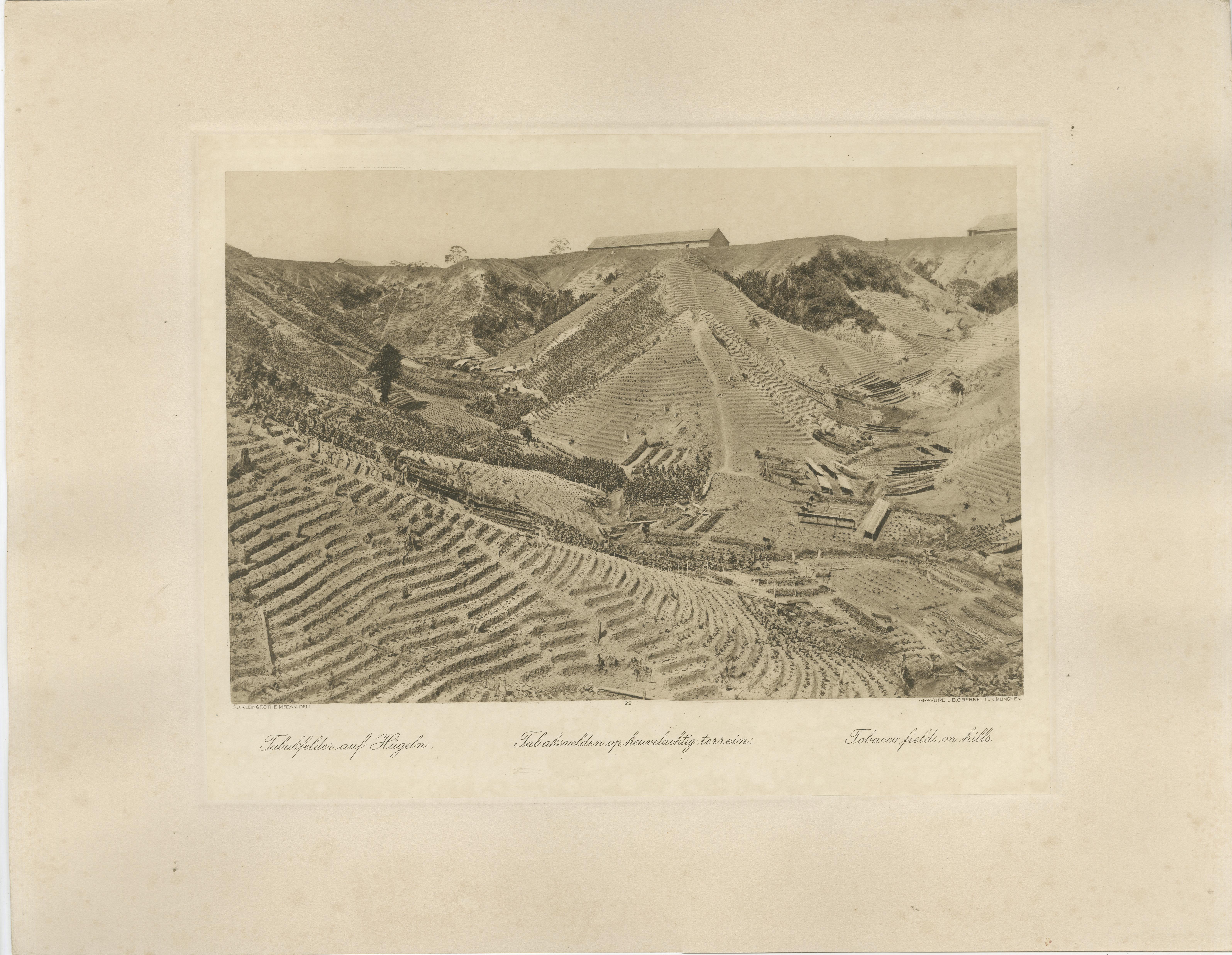 Néerlandais Ensemble de 4 photogravures de l'industrie du tabac - A.I.C., C.J. Kleingrothe, 1910 en vente