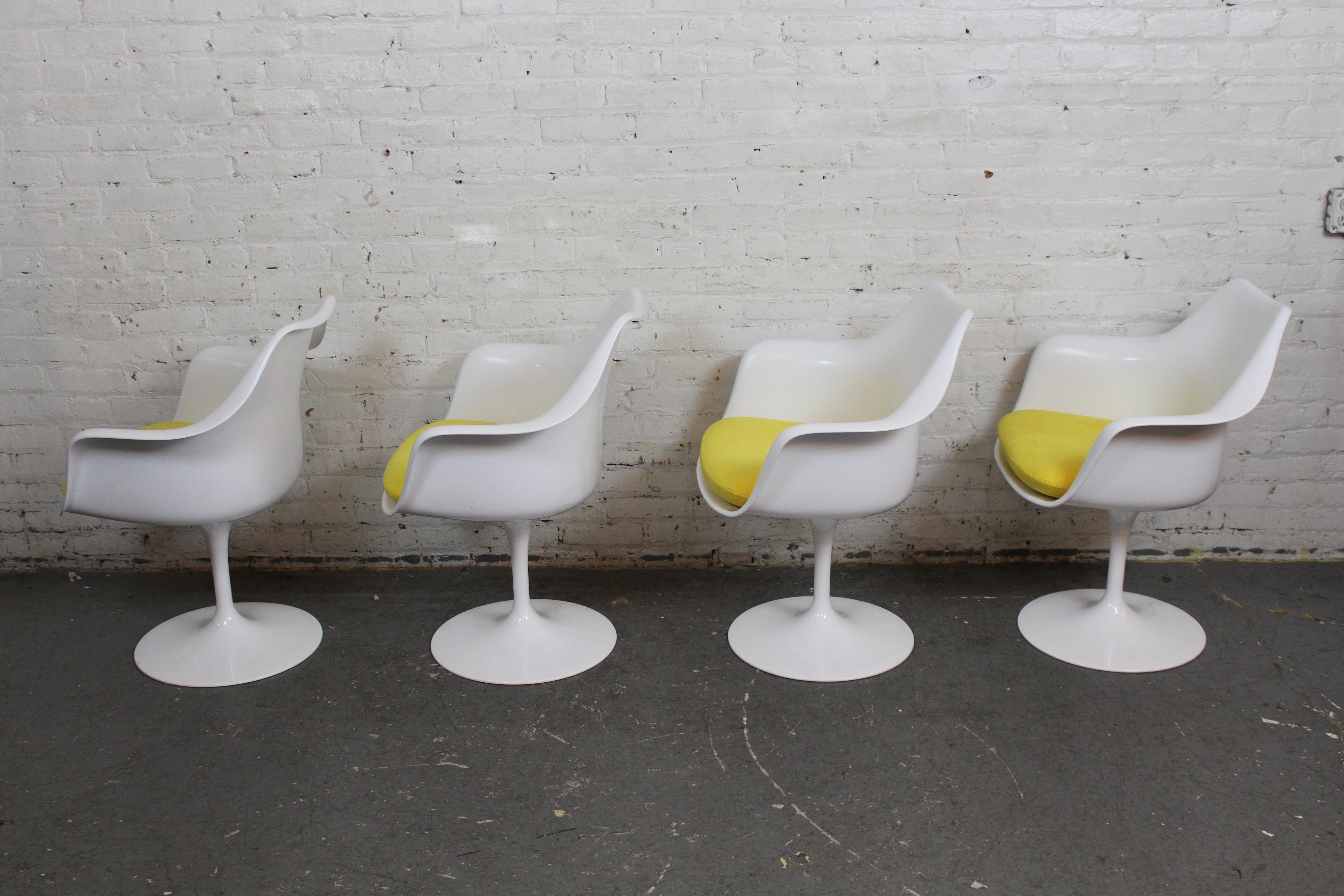 Molded Set of 4 