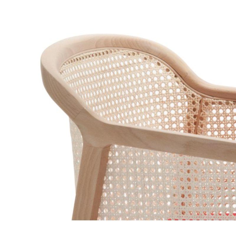 4er Set, Kleiner Sessel Vienna, Buche Wood, Rot Kontur by Colé Italia (21. Jahrhundert und zeitgenössisch) im Angebot