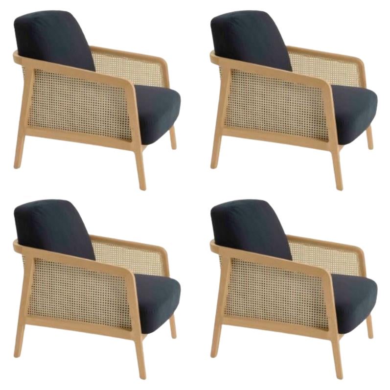 Juego de 4, Sillón Vienna Lounge Haya Azul by Colé Italia