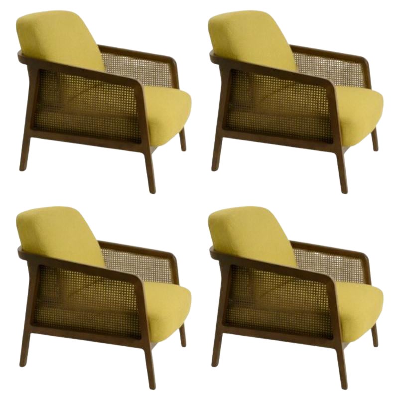 Juego de 4, Sillón Vienna Lounge Canaletto Amarillo by Colé Italia