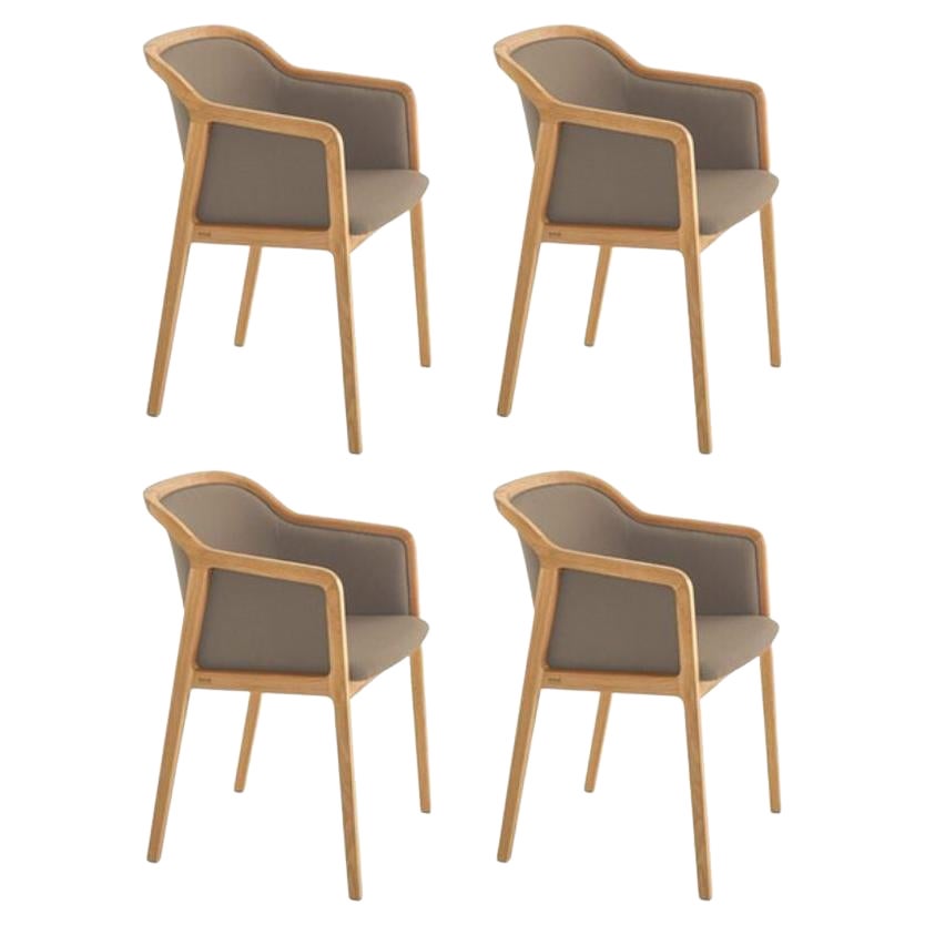 Juego de 4 Sillones Vienna Soft Little, Cromo by Colé Italia