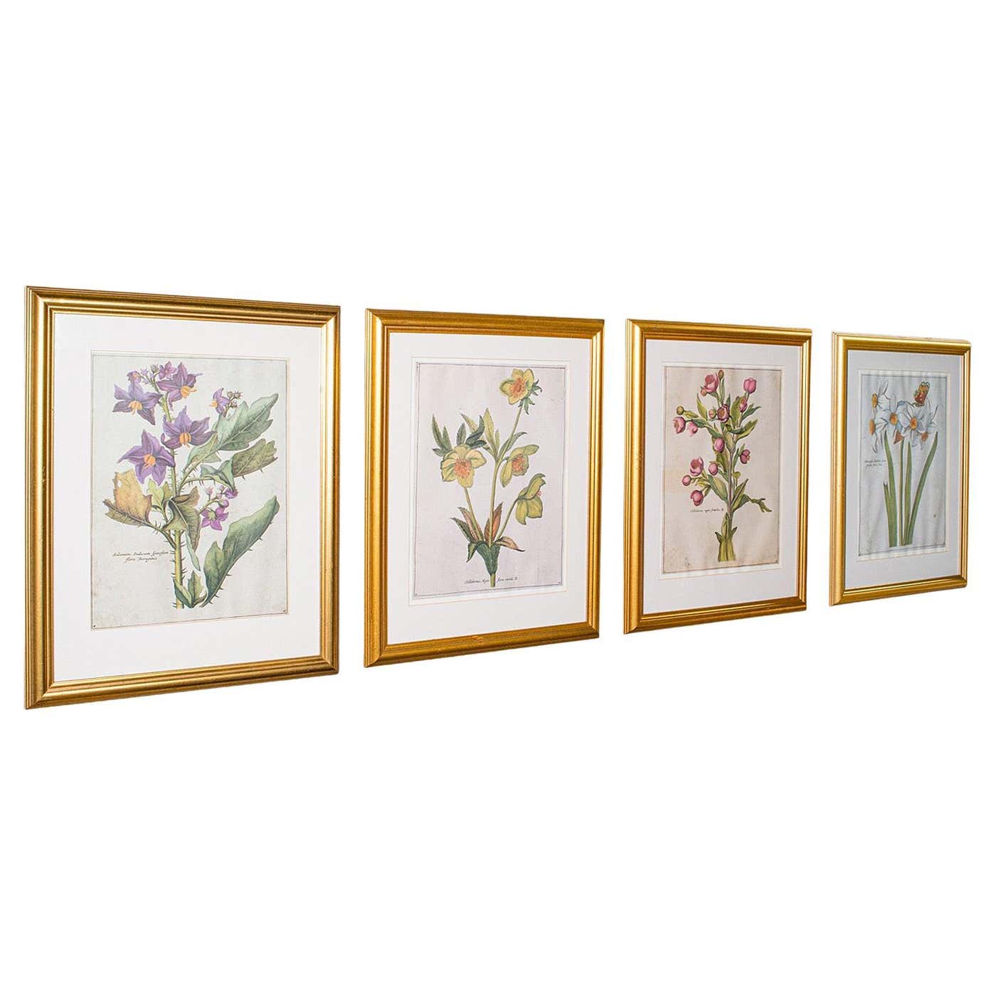 Structube Herbarium Framed Art Series
