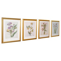 Set Of 4 Vintage Botanical Prints, English, Framed Engravings, Flower Art, Decor