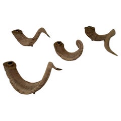 Set of 4 Vintage Curly Ram Horn and Brass Candlesticks