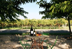 Set of (4) Vintage Green Bistro Chairs