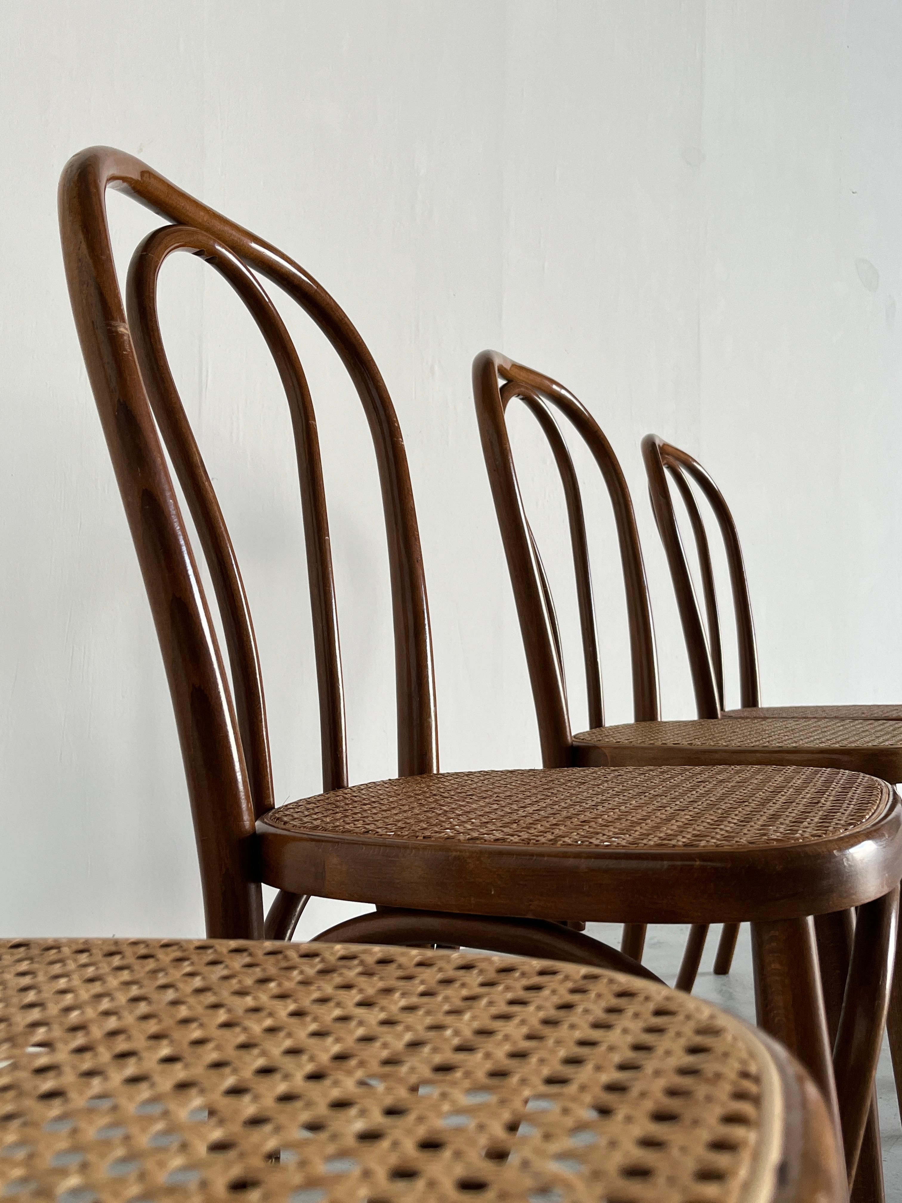 Set of 4 Vintage Thonet Bentwood Style Chairs, European Bistro Chairs, 1950s For Sale 2
