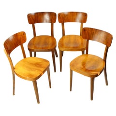 Set Of 4 Walnut Dining Chairs, Czechoslovakia 1950s