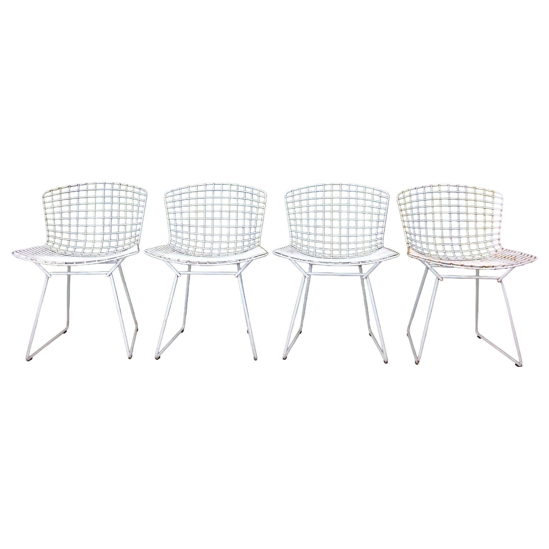 Set of 4 White Metal Indoor / Outdoor Chairs by Harry Bertoia for Knoll