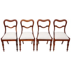 Set of 4 William iv Rosewood Balloon Back Dining Chairs
