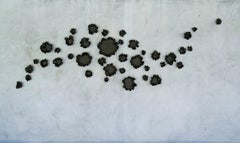Set Of 40 Wall Sculpture in Matte Black Porcelain by Natalya Sevastyanova