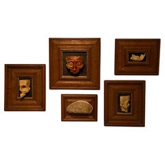 Set di 5 targhe anatomiche