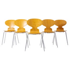 Set of 5 Ant chairs by Fritz Hansen, Denmark