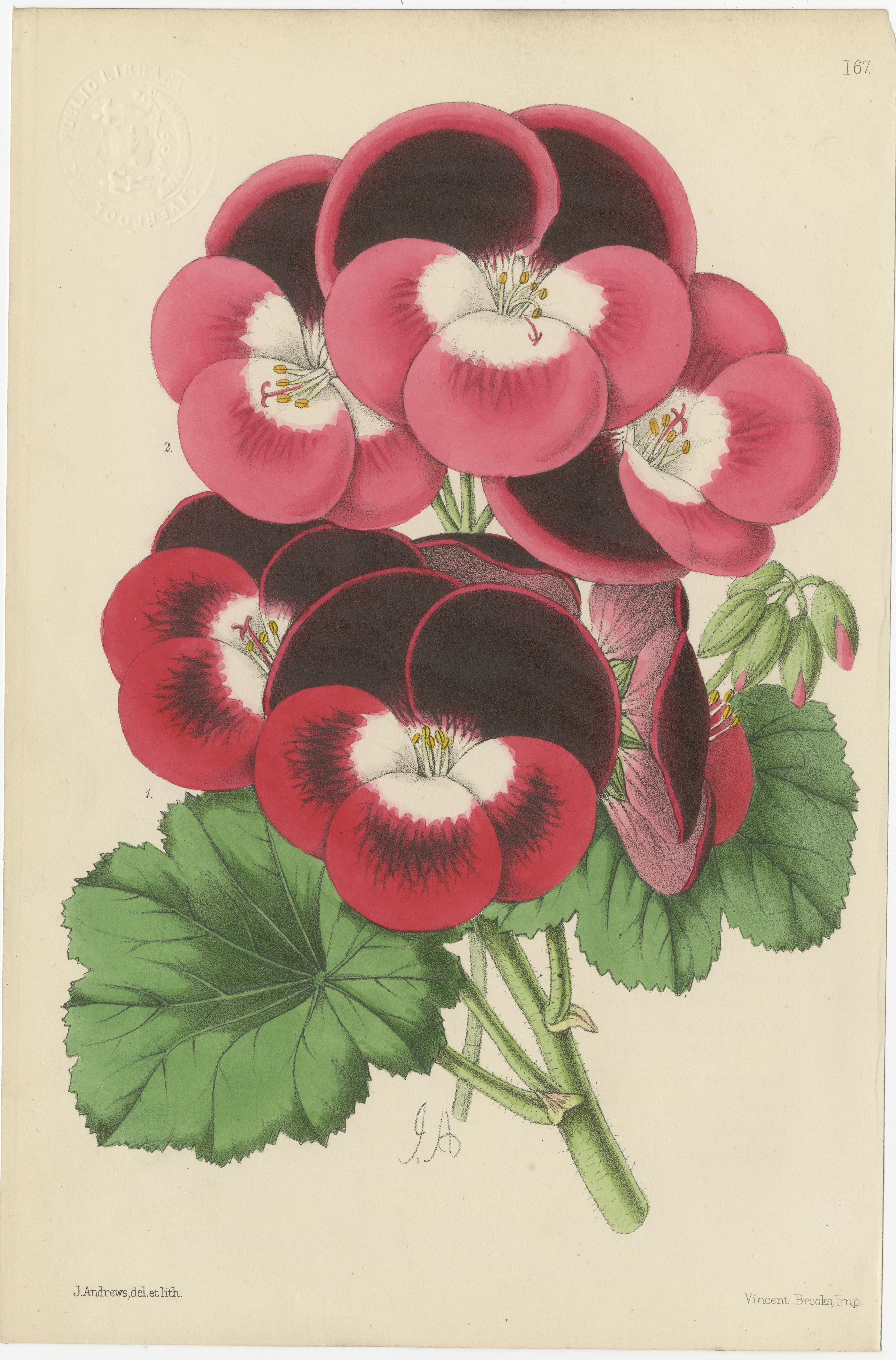 Set of 5 Antique Botany Prints, Pink and Red, by Brooks 'c.1870' For Sale 1