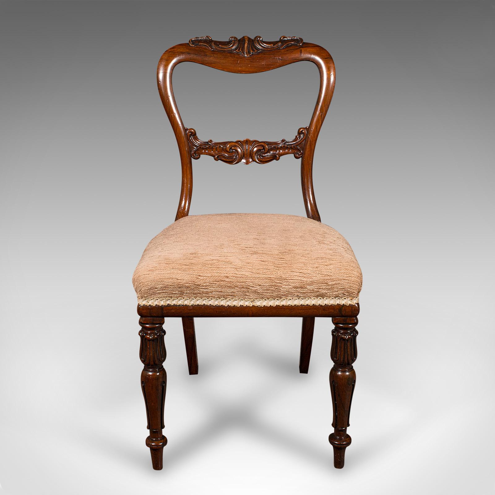 This is a set of 5 antique dining chairs. A Scottish, rosewood buckle back seat, dating to the William IV period, circa 1835.

Pleasingly decorative suite of dining chairs of fine quality and craftsmanship
Displaying a desirable aged patina and in