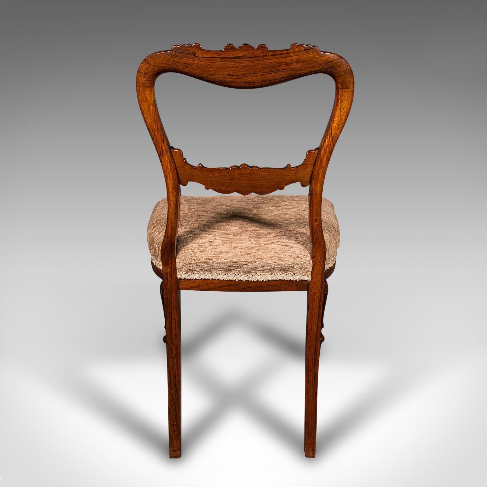 Set Of 5 Antique Dining Chairs, Scottish, Buckle Back Seat, William IV, C.1835 In Good Condition In Hele, Devon, GB