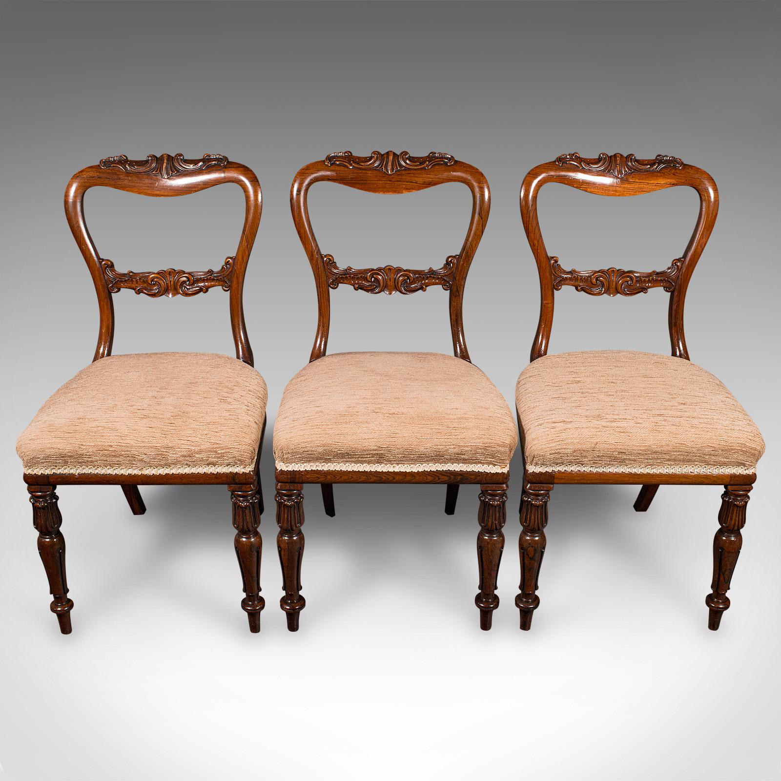 Satz von 5 antiken Esszimmerstühlen, schottisch, Sitz mit Schnallenrückenlehne, William IV., um 1835 (Holz) im Angebot