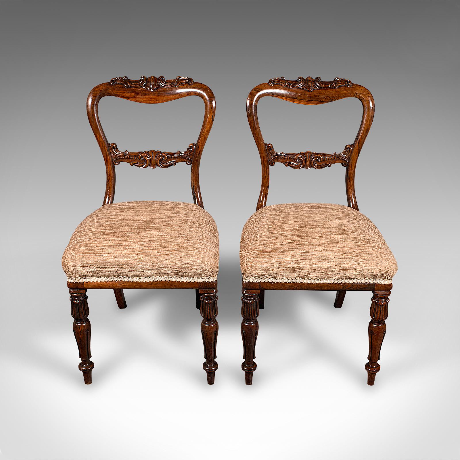 Satz von 5 antiken Esszimmerstühlen, schottisch, Sitz mit Schnallenrückenlehne, William IV., um 1835 im Angebot 1