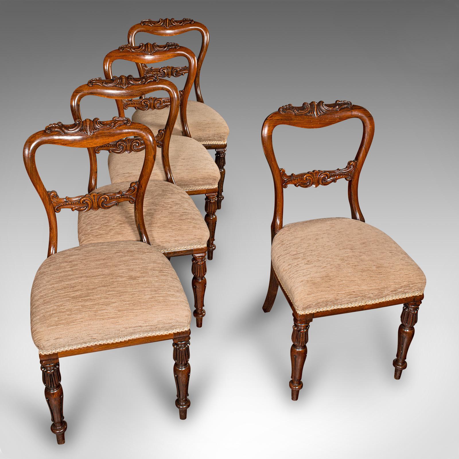 Satz von 5 antiken Esszimmerstühlen, schottisch, Sitz mit Schnallenrückenlehne, William IV., um 1835 im Angebot 2