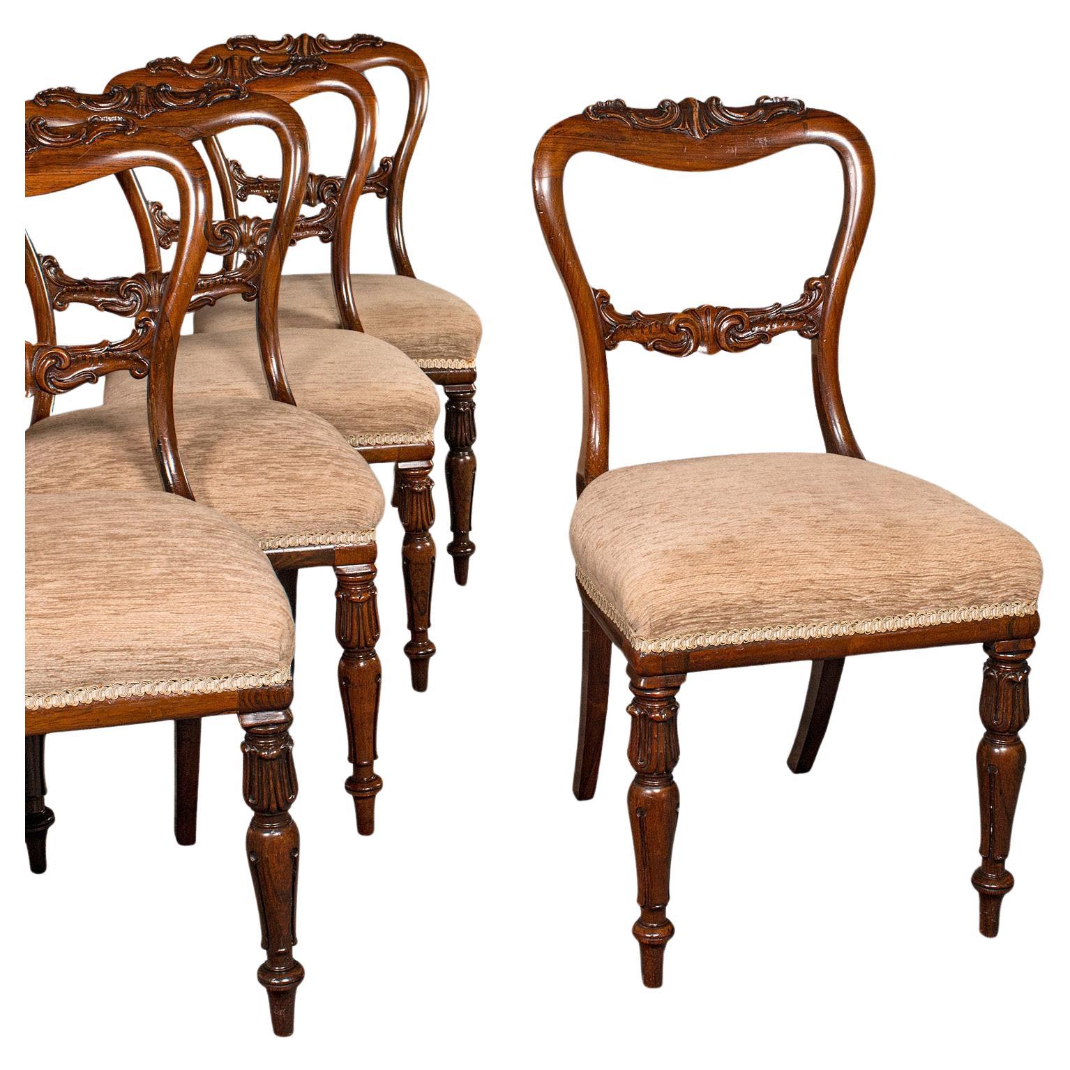 Satz von 5 antiken Esszimmerstühlen, schottisch, Sitz mit Schnallenrückenlehne, William IV., um 1835 im Angebot