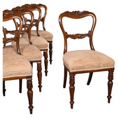 Satz von 5 antiken Esszimmerstühlen, schottisch, Sitz mit Schnallenrückenlehne, William IV., um 1835