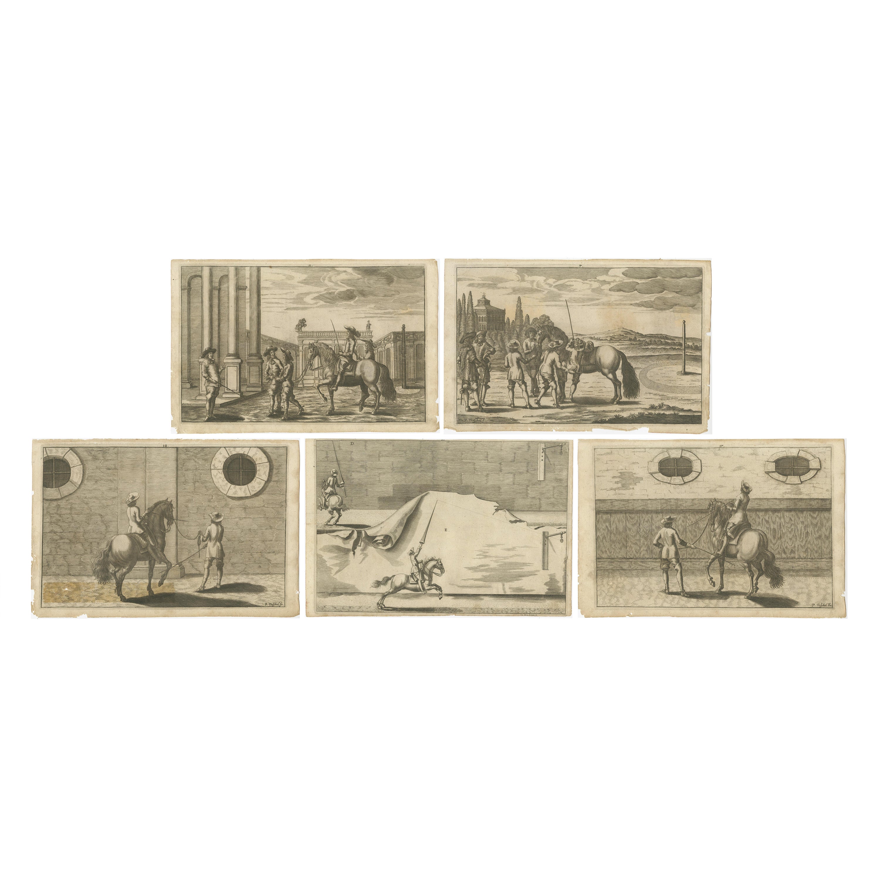Ensemble de 5 gravures anciennes d'équitation