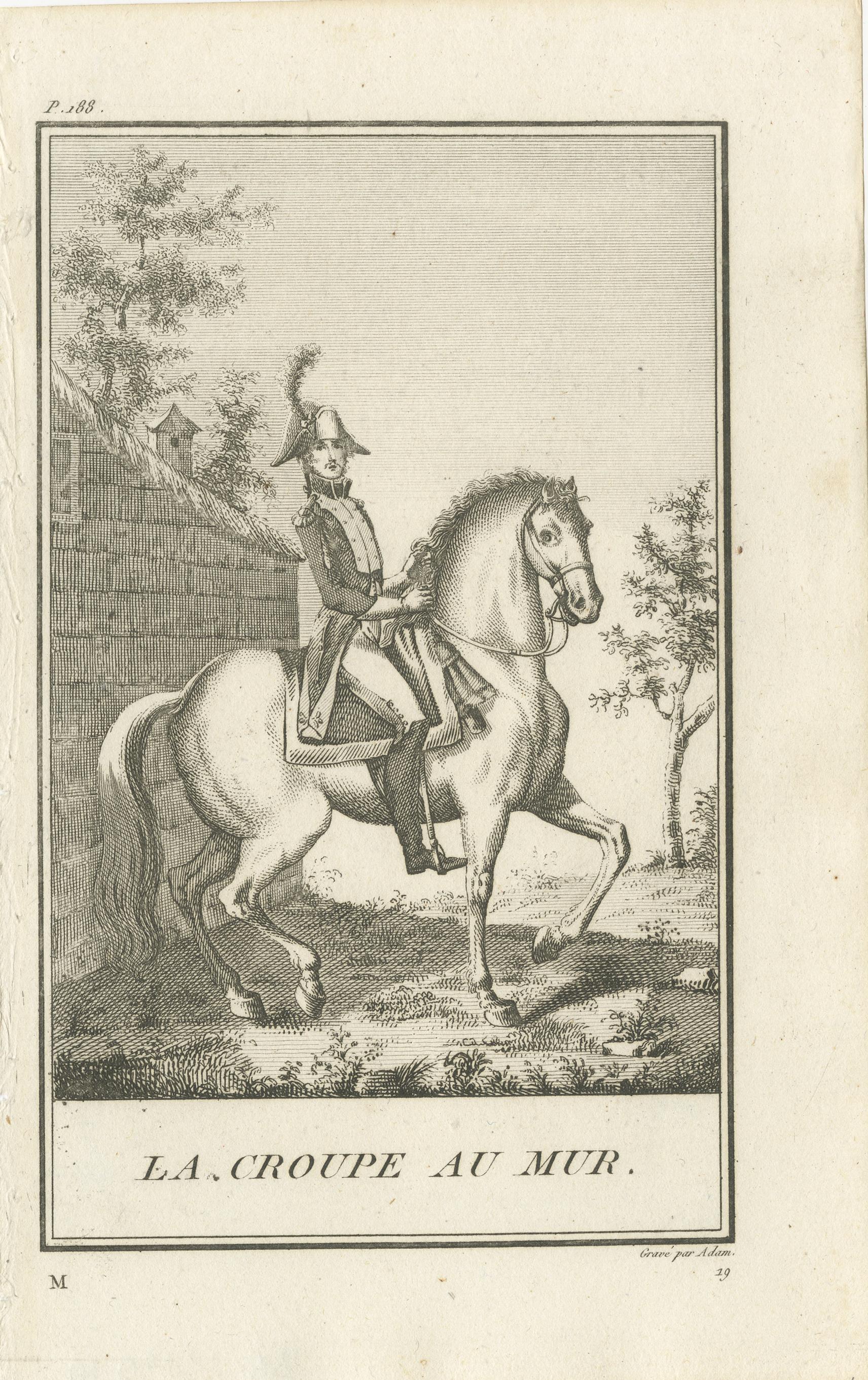Paper Set of 5 Antique Horse Riding Prints, Le Piaffer, La Galopade, La Courbette For Sale