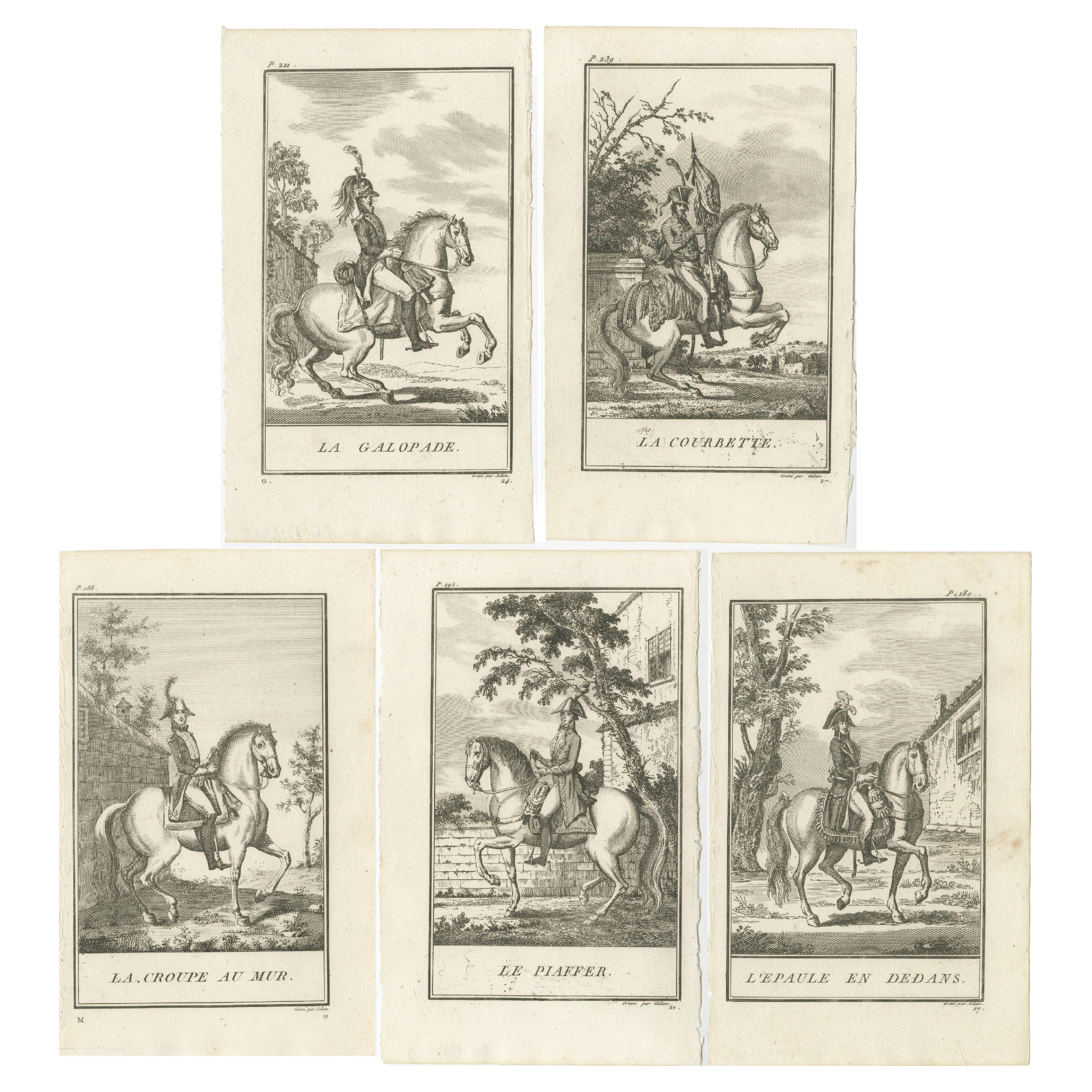 Set of 5 Antique Horse Riding Prints, Le Piaffer, La Galopade, La Courbette For Sale