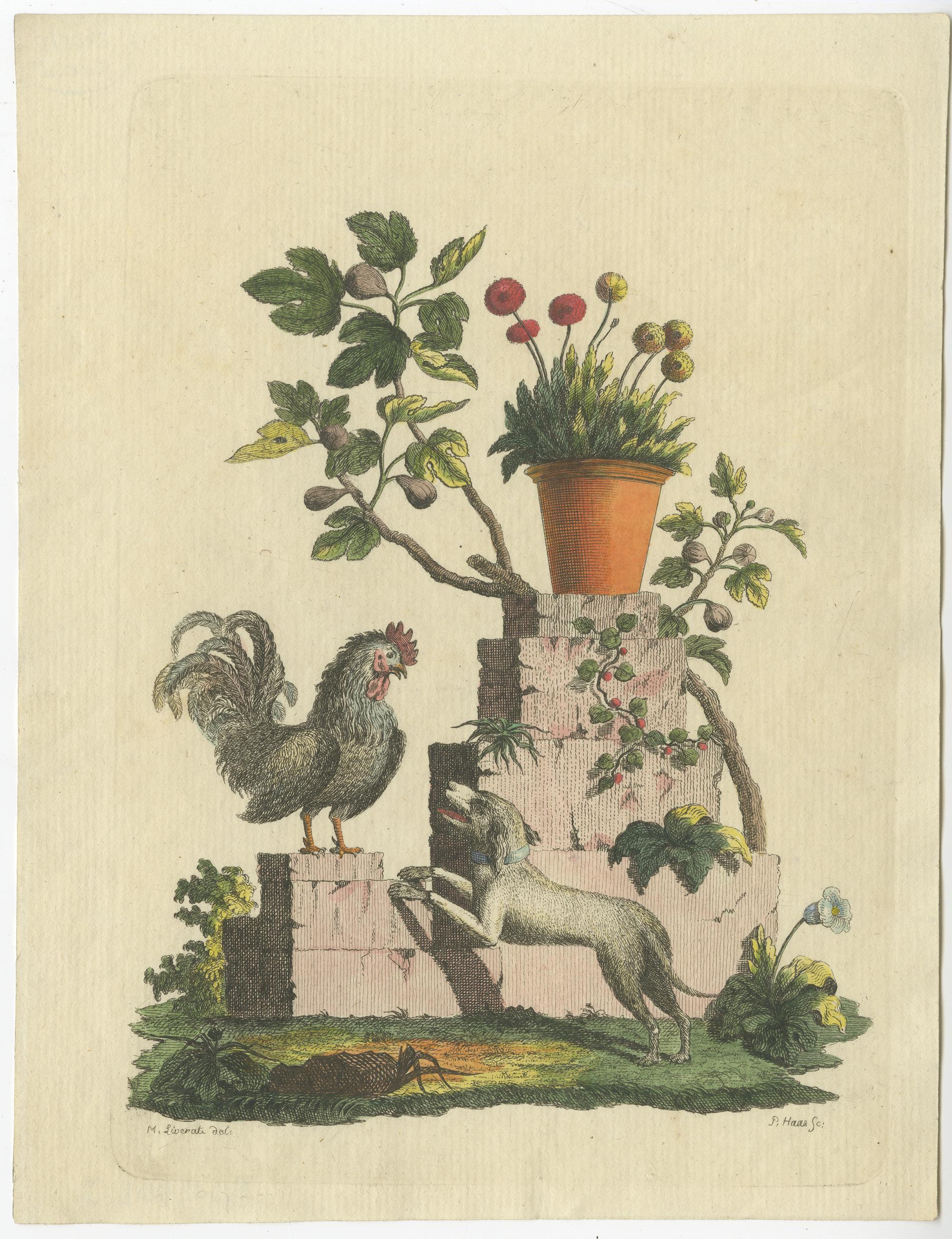 Set of 5 Antique Prints of Various Animals and Ornaments by Haas 'c.1800' In Good Condition For Sale In Langweer, NL